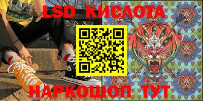 гашик Бузулук
