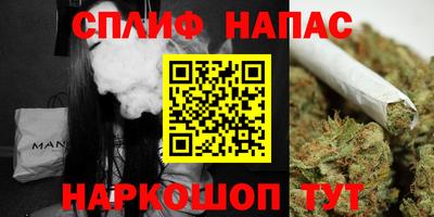 гашик Бузулук