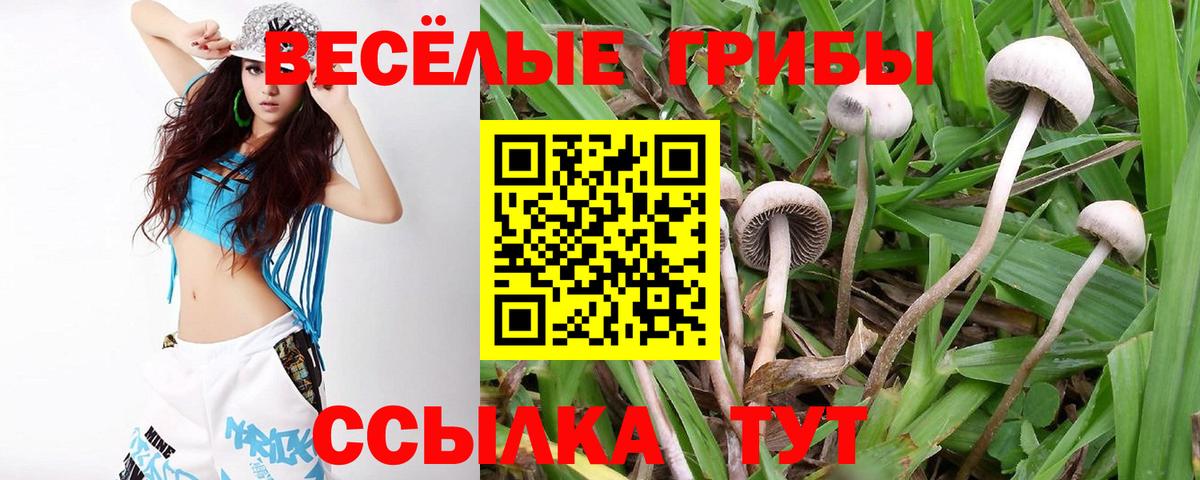 Псилоцибиновые грибы мицелий  Вход с VPN  Псилоцибиновые грибы GOLDEN TEACHER  Нововоронеж 